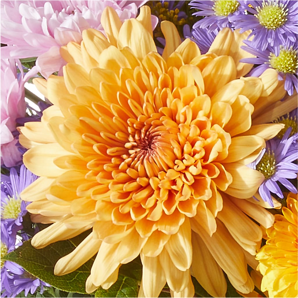Countryside Bouquet –  Sayla Flowers, Los Angeles CA