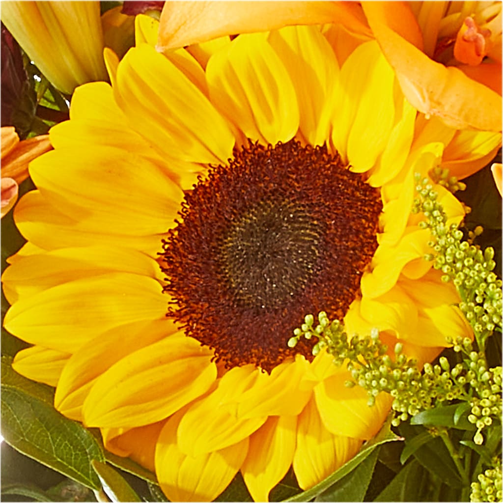 Seasons Change Bouquet –  Sayla Flowers, Los Angeles CA