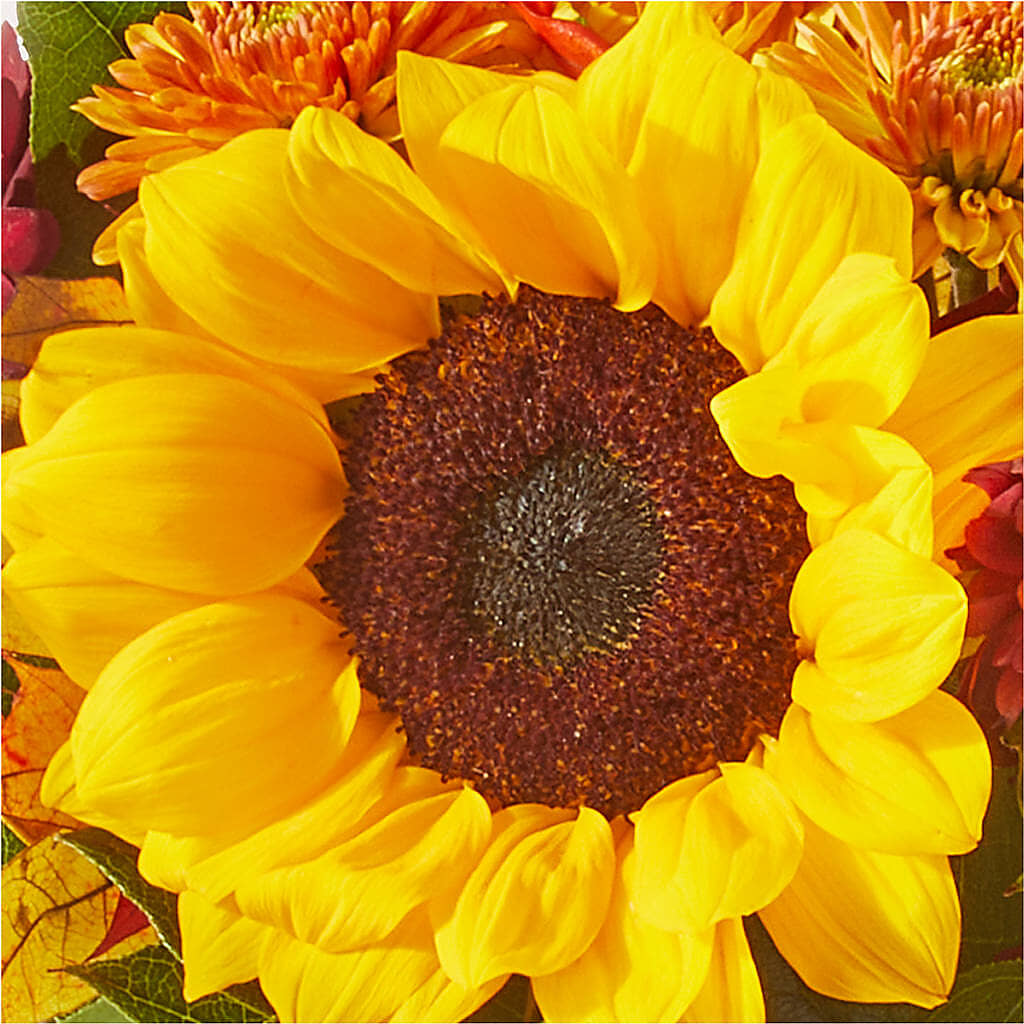 Sunny Side Bouquet –  Sayla Flowers, Los Angeles CA