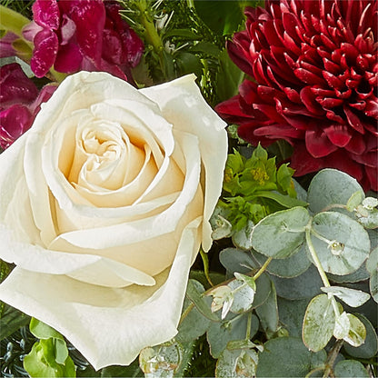 Cranberry Fizz Bouquet –  Sayla Flowers, Los Angeles CA