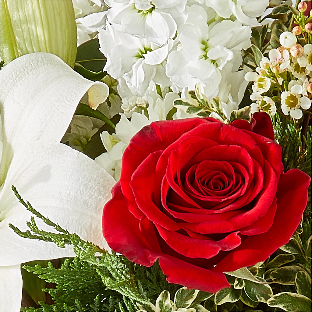 Twinkle Lights Bouquet –  Sayla Flowers, Los Angeles CA