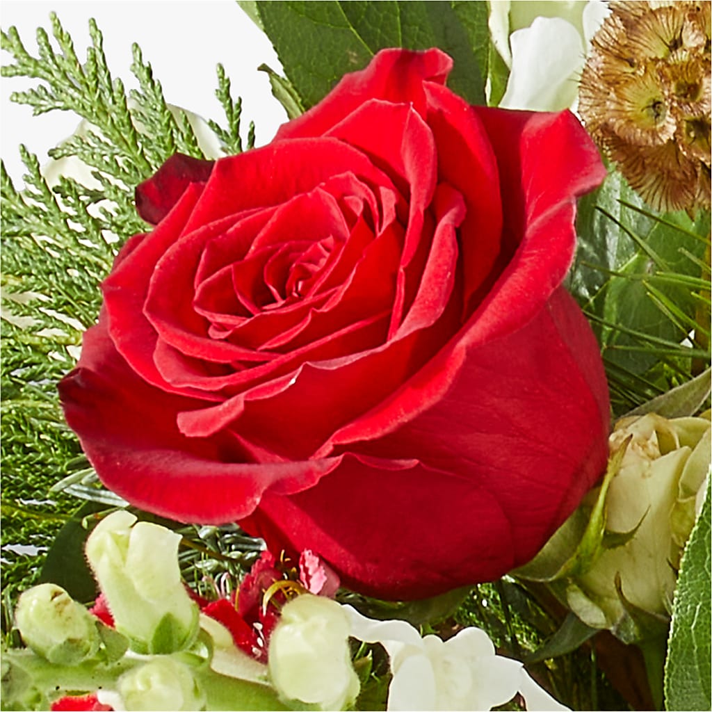 Deck the Halls Bouquet –  Sayla Flowers, Los Angeles CA