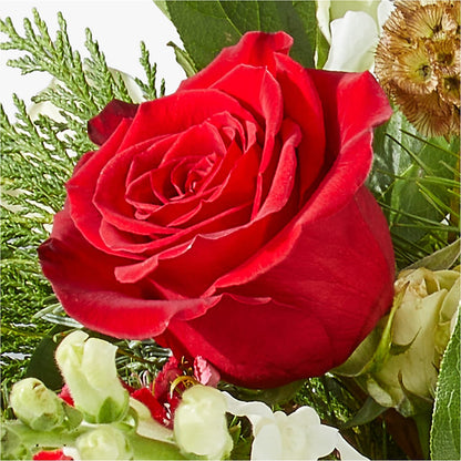 Deck the Halls Bouquet –  Sayla Flowers, Los Angeles CA