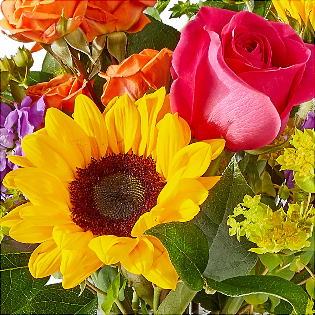 Vibrant Greetings Bouquet –  Sayla Flowers, Los Angeles CA