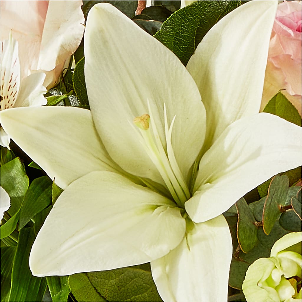 Ballet Slippers Bouquet –  Sayla Flowers, Los Angeles CA