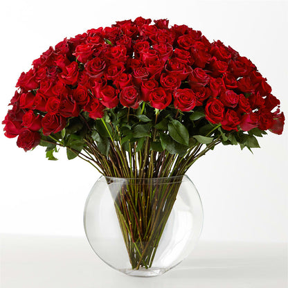 The Idealist –  Sayla Flowers, Los Angeles CA