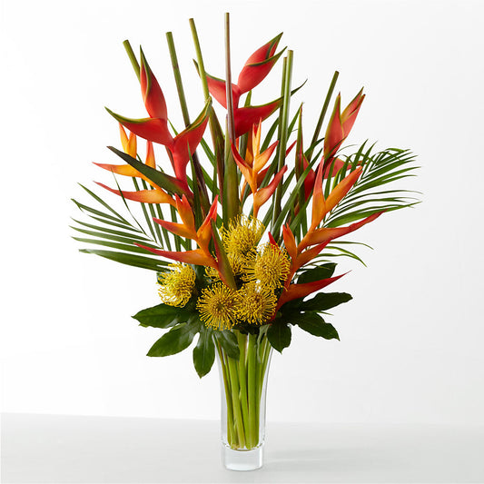 The Drama –  Sayla Flowers, Los Angeles CA