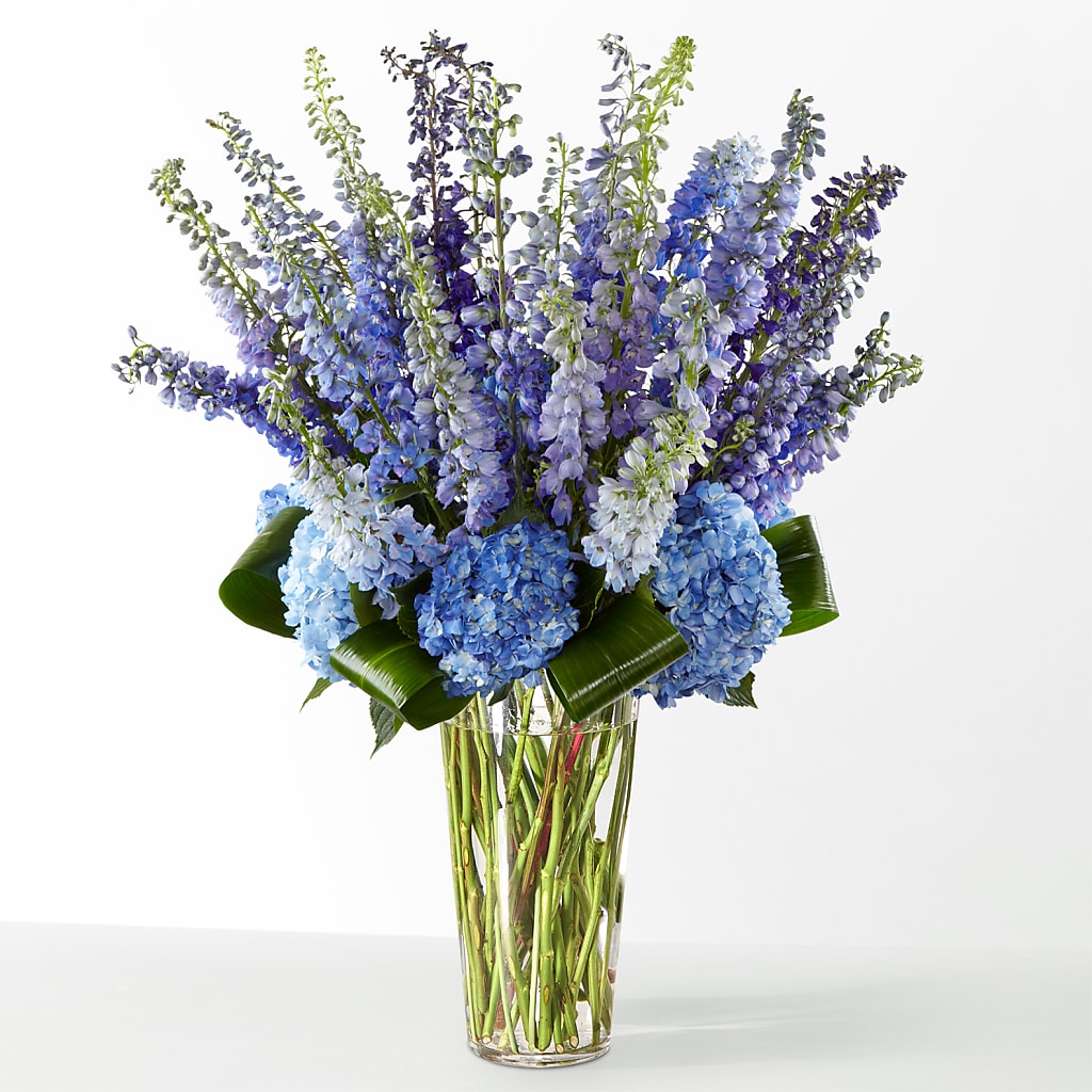 The Editorial –  Sayla Flowers, Los Angeles CA