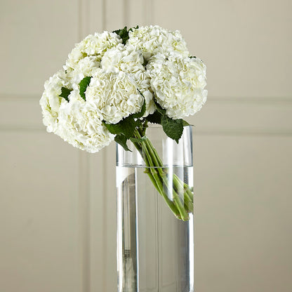 White Hydrangea Hand-Tied Bouquet –  Sayla Flowers, Los Angeles CA