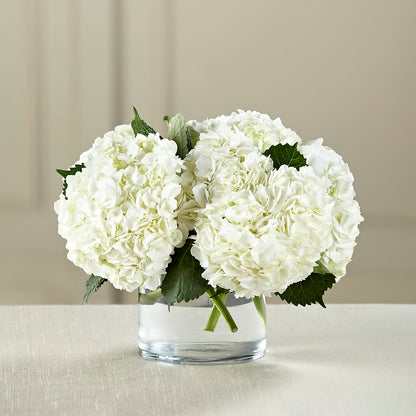 White Hydrangea Bouquet –  Sayla Flowers, Los Angeles CA