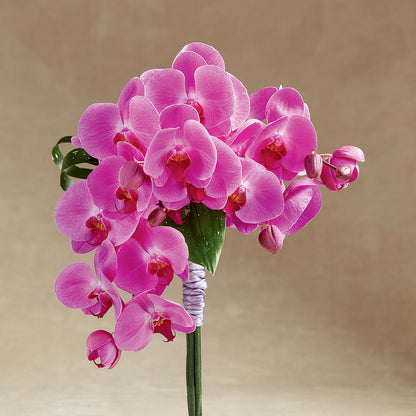Glorious Bouquet –  Sayla Flowers, Los Angeles CA