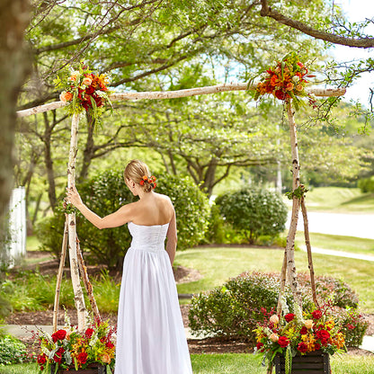 Arbor of Love Archway –  Sayla Flowers, Los Angeles CA