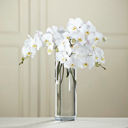 White Phalaenopsis Bouquet –  Sayla Flowers, Los Angeles CA